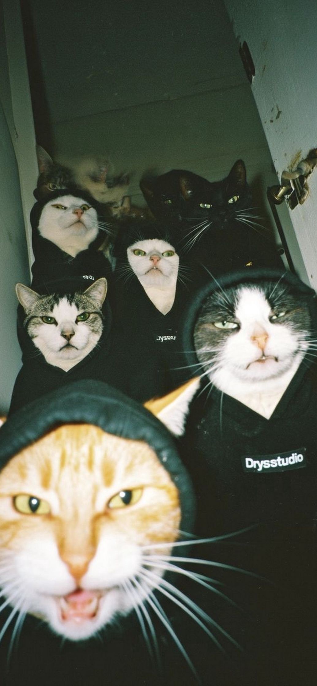 premium.accounts