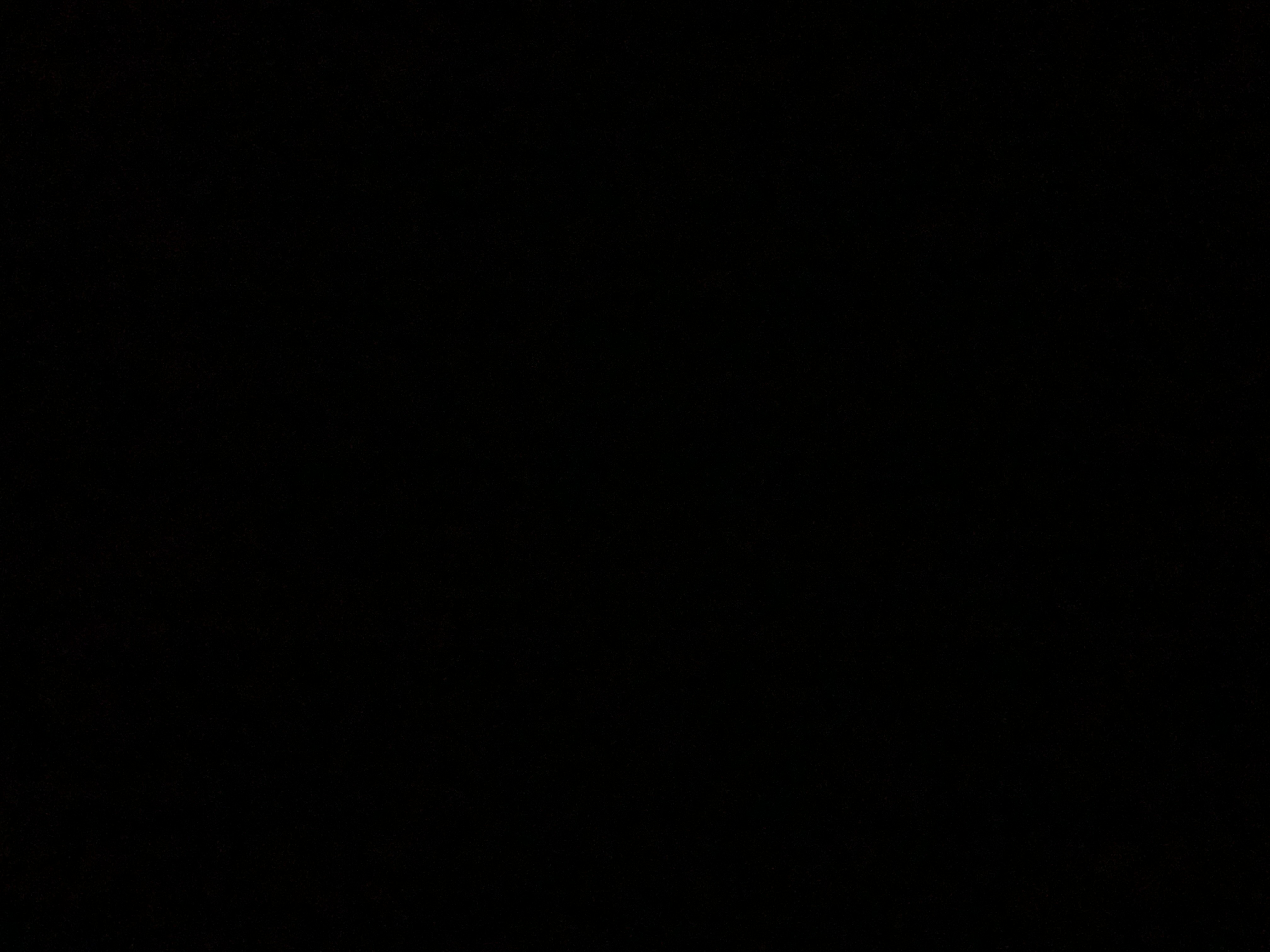 7md