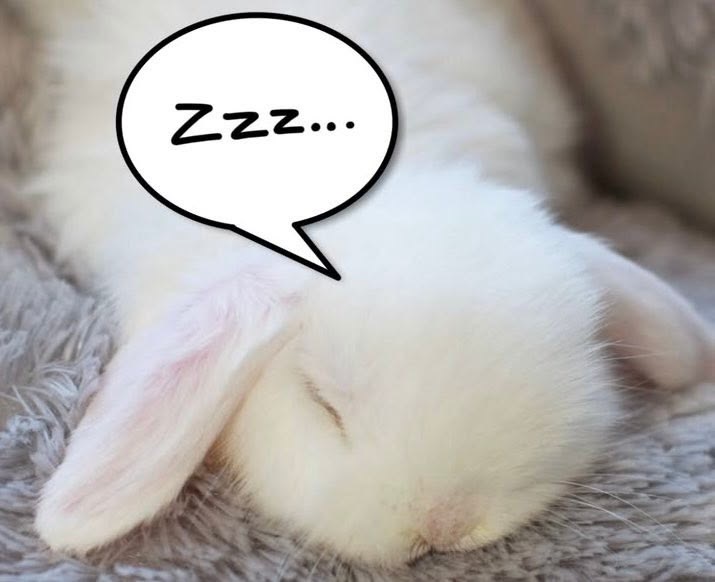 zzz